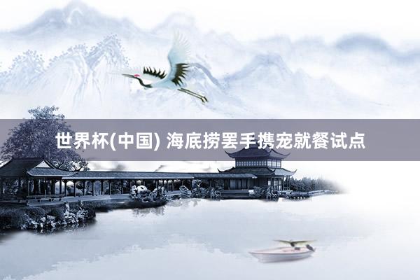 世界杯(中國) 海底撈罷手?jǐn)y寵就餐試點(diǎn)