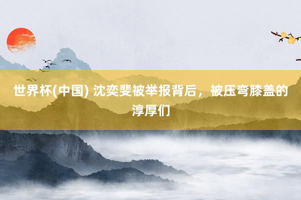 世界杯(中國) 沈奕斐被舉報背后，被壓彎膝蓋的淳厚們