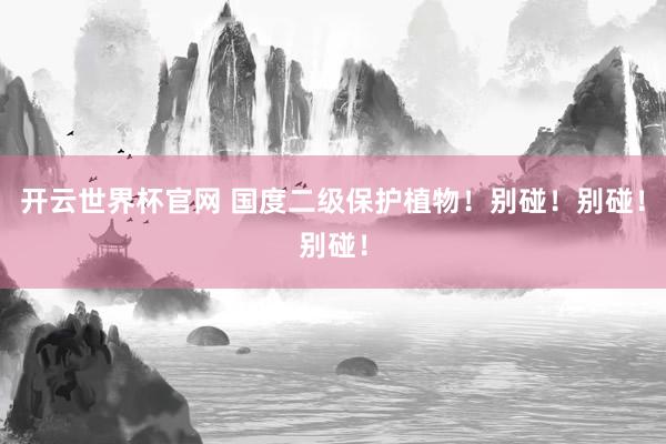 開云世界杯官網 國度二級保護植物！別碰！別碰！別碰！