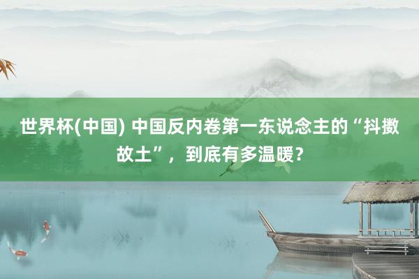 世界杯(中國) 中國反內卷第一東說念主的“抖擻故土”，到底有多溫暖？