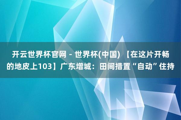 開云世界杯官網 - 世界杯(中國) 【在這片開暢的地皮上103】廣東增城：田間措置“自動”住持