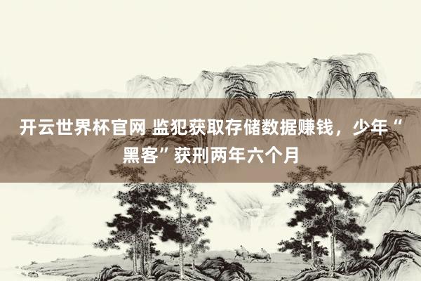 開云世界杯官網(wǎng) 監(jiān)犯獲取存儲數(shù)據(jù)賺錢，少年“黑客”獲刑兩年六個月